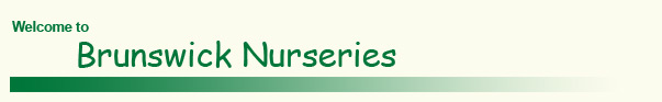Welcome to Brunswick Nurseries